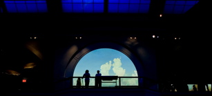 AMNH - Hall of Ocean Life - Guards